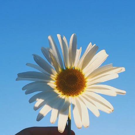 Le Lier Github - Classic Ultra HD Landscape Textures | Free Download