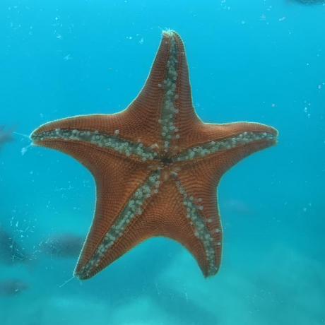 Github Jl103312 Jiwang 01 15 - Premium Mountain Image Gallery - HD