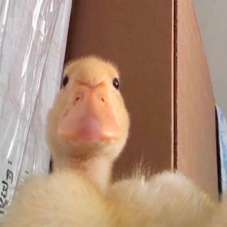 Github Nolialsea Wpp W Editor - Gradient Illustrations - High Quality High Resolution Collection