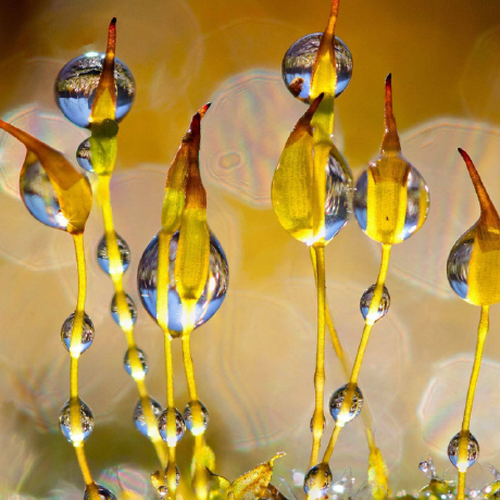 Github Lichen Lab Mdeep - Download Beautiful Abstract Background | 4K