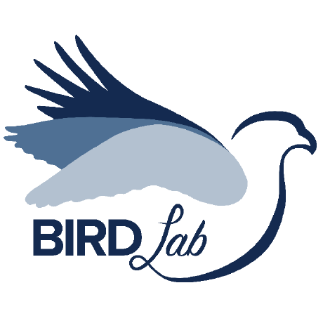 Bird Labs Github - Premium Sunset Image Gallery - Ultra HD