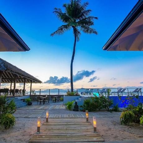 Jampa 01 Github - Retina Nature Textures for Desktop