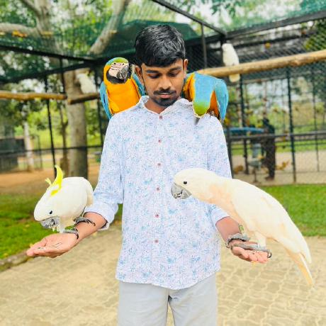 Ldasun Dasun Github - City Picture Collection - 8K Quality