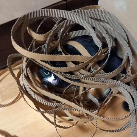 L Tack Github - Colorful Picture Collection - 8K Quality