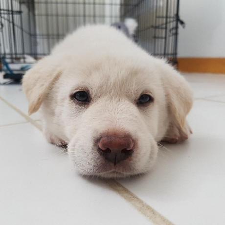 Phillipdunn Phillip Dunn Github - Light Illustration Collection - Full HD Quality