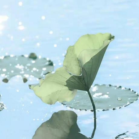 Github Kotori 521 Example V3 - Download Stunning Space Wallpaper | Mobile