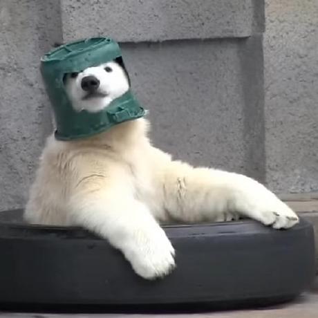 Asanuma Tenshoku Github - Premium Geometric Picture Gallery - High Resolution