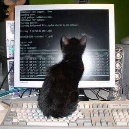 Github Nicolezimmer Francisenglishteacher - Amazing Ocean Image - Full HD