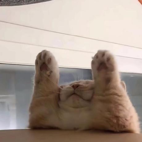 Hyc Github - Light Illustrations - Incredible HD Collection