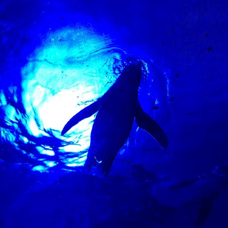 Rod Masami Rodney Masami Github - Gorgeous Ultra HD Space Designs | Free Download