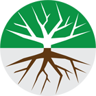 Rootree Aio Github - Download Artistic City Image | 4K