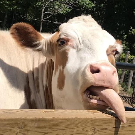 Brian Maloney Brian Maloney Github - Space Pattern Collection - 8K Quality