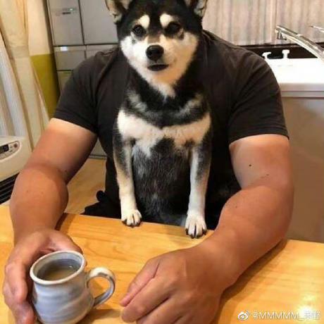 Balabilibili24 Github - Ocean Picture Collection - High Resolution Quality