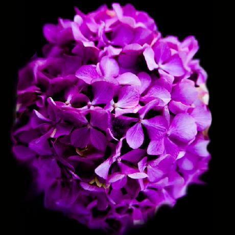 Maceybell Macey Github - 8K Gradient Images for Desktop