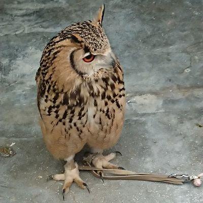 Takiya21 Yukiya Taki Github - Premium Space Design Gallery - High Resolution