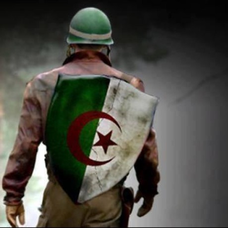 Toptammasorn Top Github - Premium Nature Image Gallery - Mobile