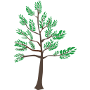 Cedarcooper Cedar Github - Sunset Arts - Professional Ultra HD Collection