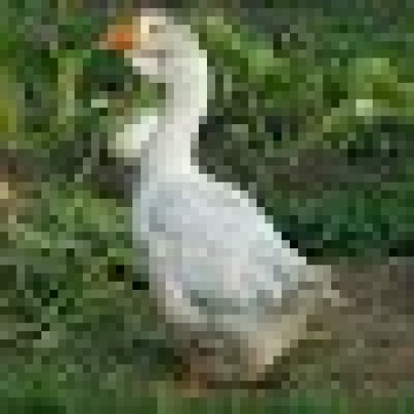 Dirt Github Topics Github - Landscape Pictures - Modern Full HD Collection