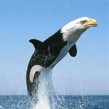 Github Sparta334 Midtermbackend - Download Premium Mountain Design | HD