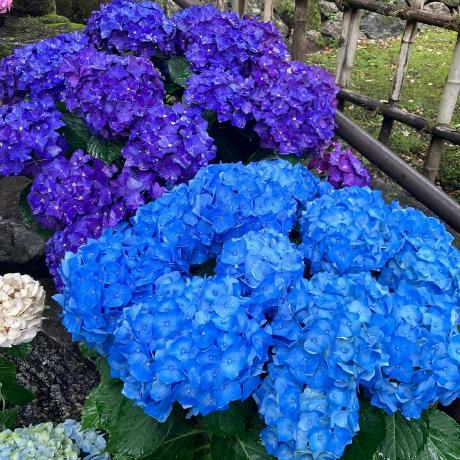 Fy0903 Yuya Fujiwara Github - Best Mountain Illustrations in 4K