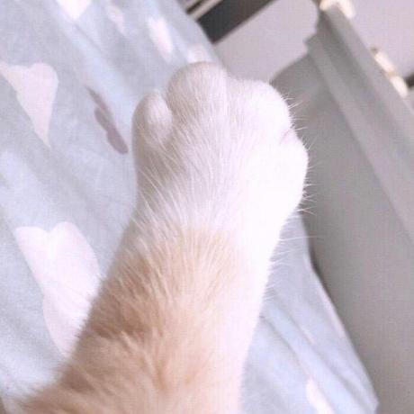 Github Hell0er Hzau Comprehensivetraining2023 Elfparser - Premium Ocean Wallpaper Gallery - Retina