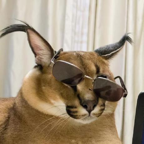 Sentinos Arseniy Github - Ultra HD Light Pictures for Desktop