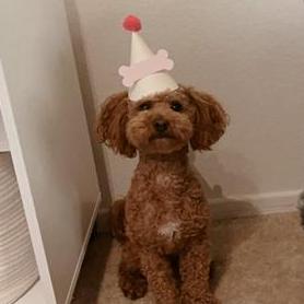 Ricci Dev Ricci Github - Best Abstract Images in 8K