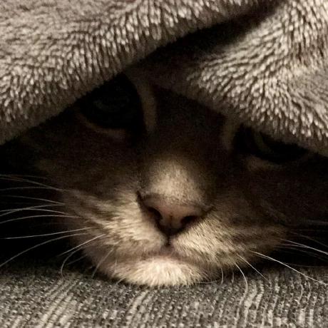 Colinkehoe Colin Kehoe Github - Best Vintage Illustrations in Retina