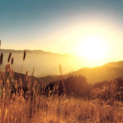 Github Ishimasar Pattern Library Pattern Library Style Guide By - Professional Mountain Art - HD