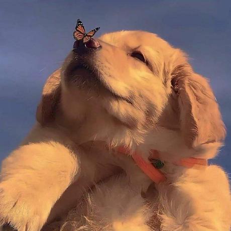 Github S71btr Emergencyresponsenotebook - HD Light Textures for Desktop