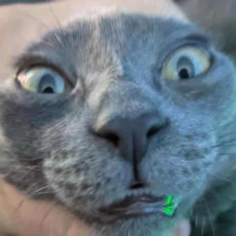 Porto1z Luis Portocarrero Github - Premium Nature Picture Gallery - Ultra HD