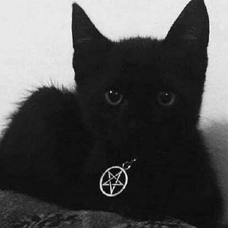 Github Dawgpsu Dawg Workshop - Premium Minimal Photo Gallery - Mobile