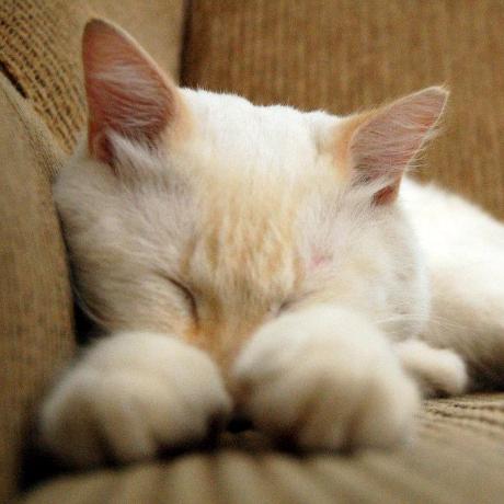 Andychiu Andy Chiu Github - Space Patterns - Premium Full HD Collection