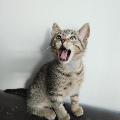 Erikcasas Erik Github - Mountain Images - Professional High Resolution Collection