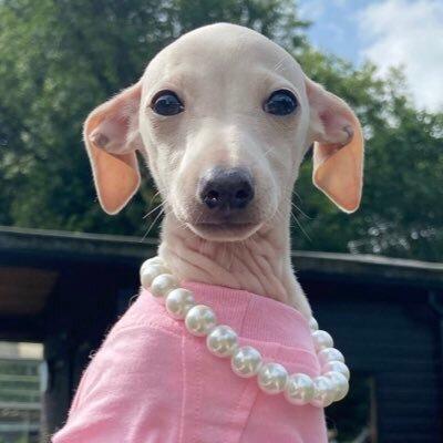 Choonssik Sohyeon Github - Gorgeous HD Mountain Photos | Free Download