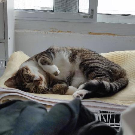 Gtb 2022 Liao Meiling Github - Light Patterns - Classic Full HD Collection