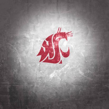 Wsu808 Wasu Github - Abstract Texture Collection - Desktop Quality