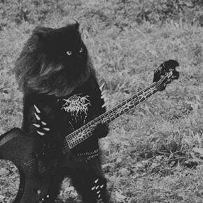 Jeee7 Ziii Github - 4K Mountain Designs for Desktop