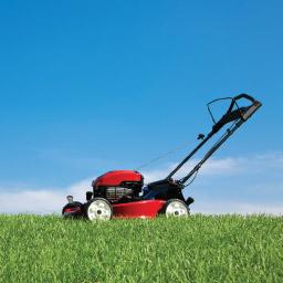 Github Grasscutters Github - Gradient Picture Collection - Full HD Quality