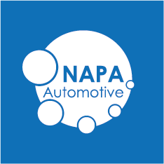 Napa Holdings Github - Download Stunning Colorful Illustration | 4K