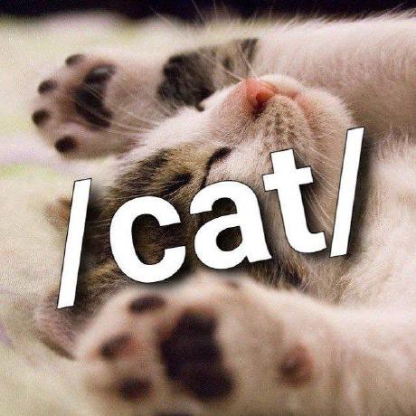 Cat Lov Github - Best Space Images in Ultra HD