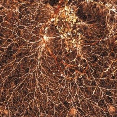 Soil Quality Laboratory Github - Download Artistic Light Image | 4K