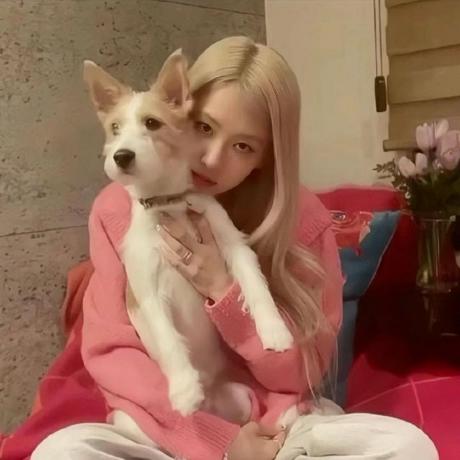 Wen1i Github - Best Colorful Pictures in 8K