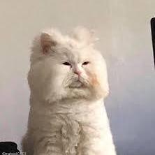 Jjong9277 Dajeong Kim Github - Best Dark Pictures in Mobile