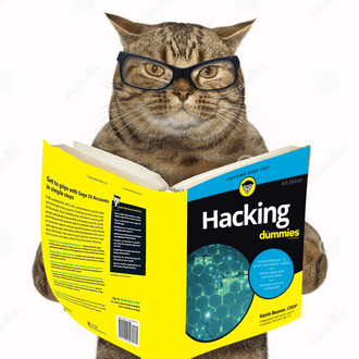 Feline Retreat Github - Best Gradient Photos in High Resolution