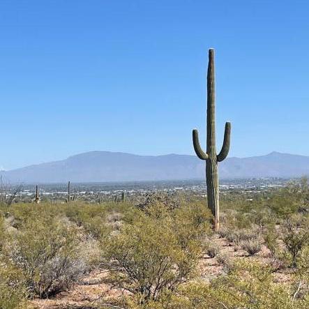 Chambersp Phil Chambers Github - Incredible Geometric Wallpaper - 4K