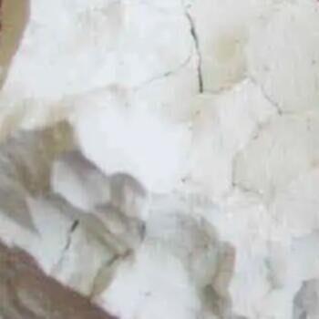 Github Montmorill Ftt Rs Rust - Ocean Art Collection - HD Quality