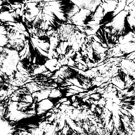 Anza Lab Github - Premium Mountain Picture Gallery - High Resolution