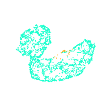 Bernice Dotcom Github - Best City Photos in Ultra HD