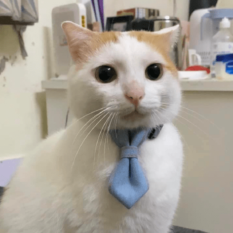 Trananhduck Tr N Anh C Github - Download Classic Minimal Texture | Ultra HD